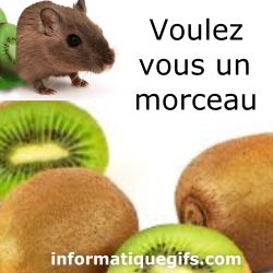 Image drole morceau kiwi