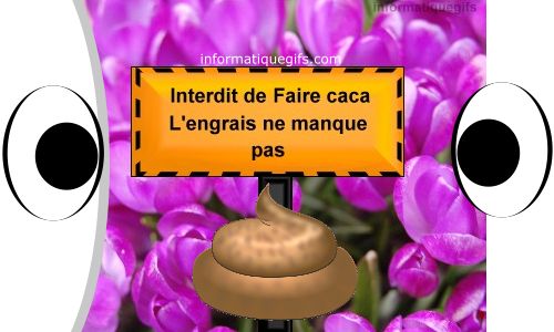 humour faire caca dans la nature