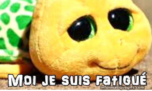 Humour nounours rigolo