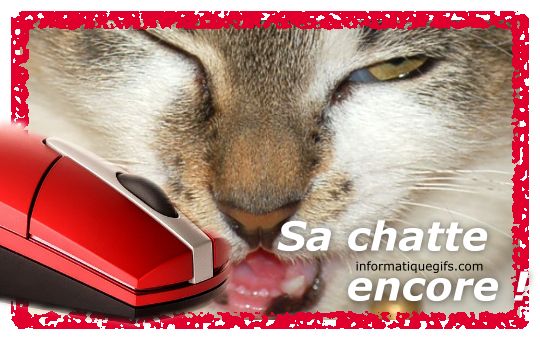 Beau chat avec une souris PC