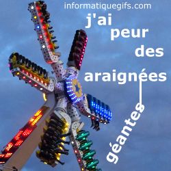 Une araignée géante