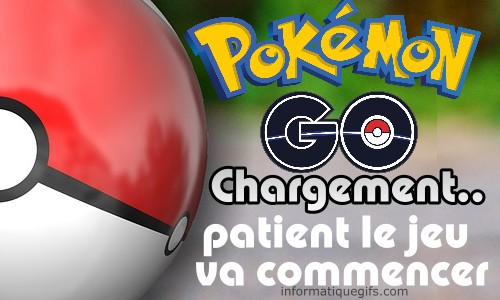 Pokeball Pokemon Go