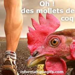 des mollets de coq