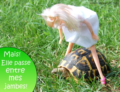 Image humour poupee jambe ouverte