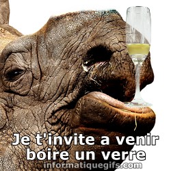 rhinoceros avec un verre