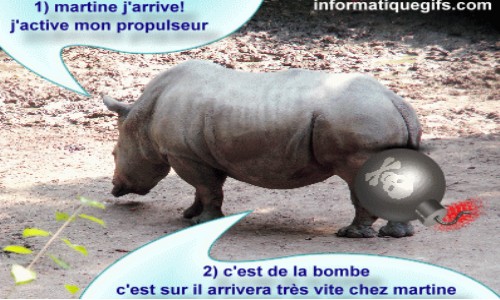 humour rhinoceros
