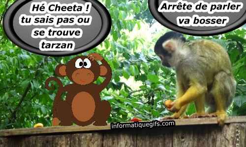 singe cheeta de tarzan