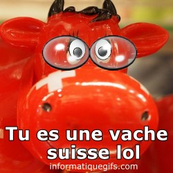Une vache avec des lunettes et des yeux