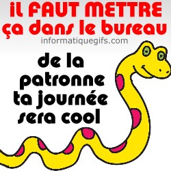 un serpent jaune et rouge