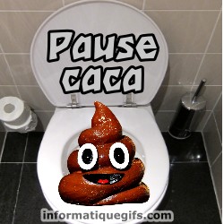  Humour  WC et distributeur unique Photo humour  WC