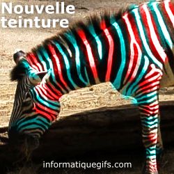 Teinture couleur et zebre