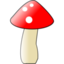 champignon de foret