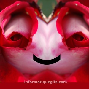 image visage et bouton de rose rouge