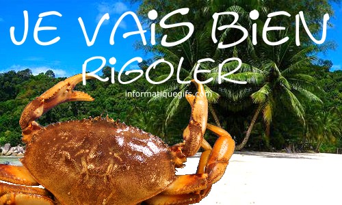 crabe de cocotier pour bien rigoler