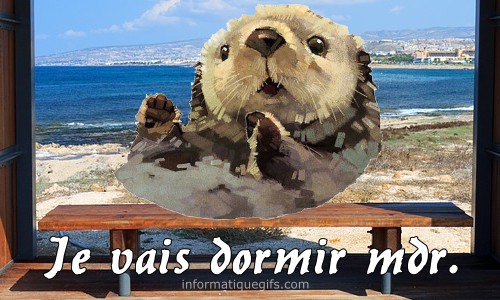 je vais dormir photo loutre