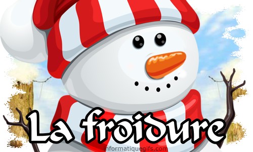 Bonhomme de neige avec chapeau sur la tete