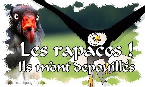 Photo rapaces