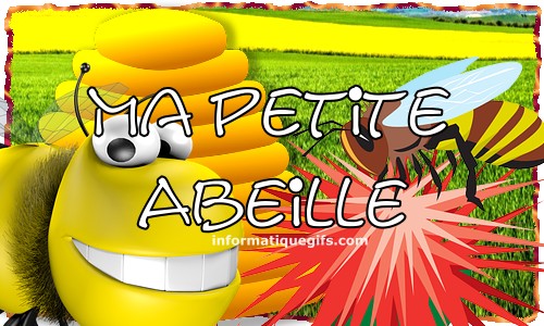 ma petite abeille dans les fleurs
