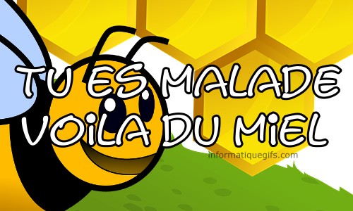 Alveole avec insecte image malade