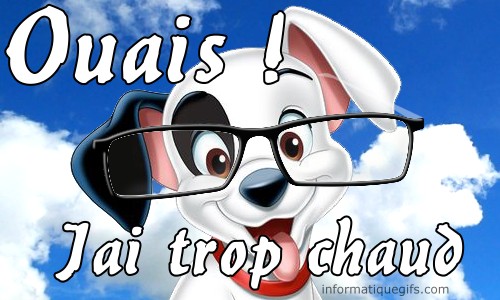 Dalmatien avec des lunettes et des nuages