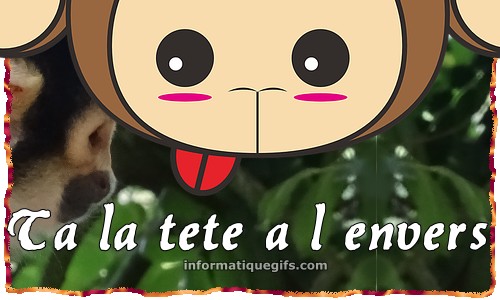 La tete a l'envers