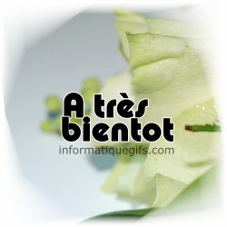 fleur blanche avec a tres bientot