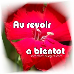 image fleur rouge avec au revoir a bientot