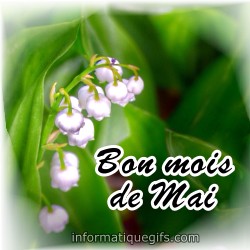 Branche de muguet rose