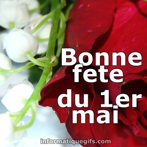 Image rose rouge avec muguet blanc