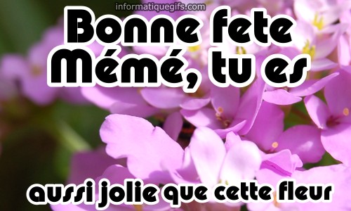 image bonne fete meme