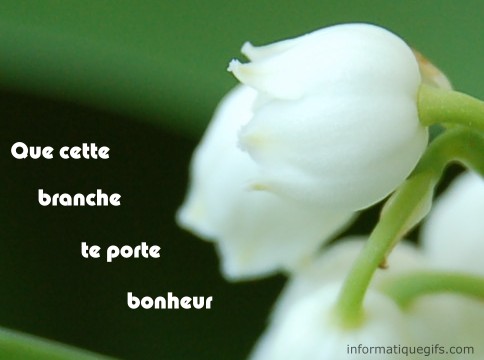 Photo Muguet a offrir, image de muguet blanc avec clochettes