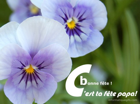 une pensee pour toi