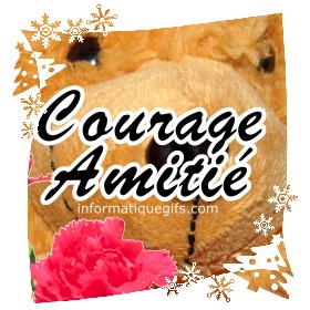 photo ours avec courage amitie