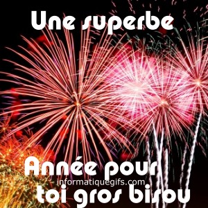 image feu artifice avec message bonne annee