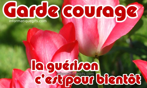 photo de tulipe avec message garde courage