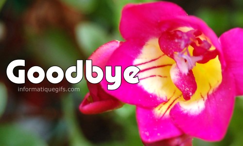 image goodbye en anglais.