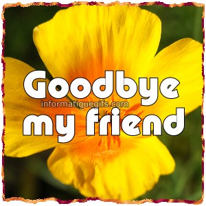 goodbye my friend
