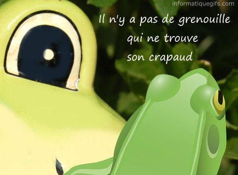 Image grenouille verte avec proverbe sur le couple