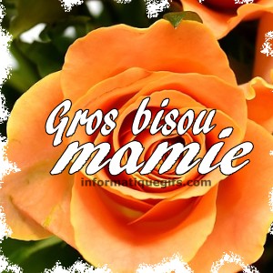 photo rose orange gros bisou mamie