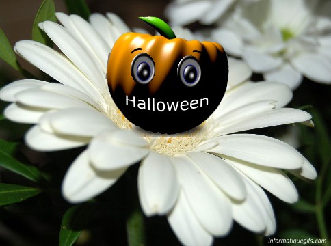 Halloween 31 octobre