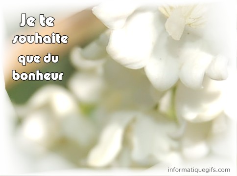 Photo carte muguet a envoyer