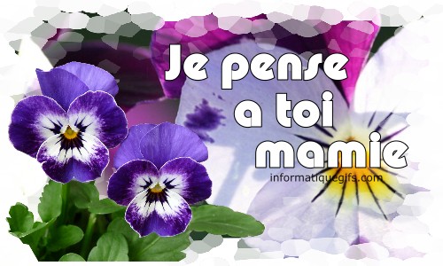 fleurs avec pensee pour la fete des mamies