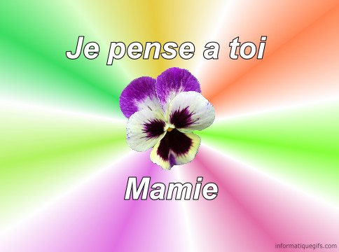 Carte bonne fete mamie, message fete des grands meres