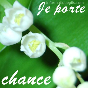 Du muguet blanc et ses clochattes