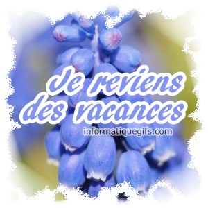 je reviens de vacances avec fleur bleue