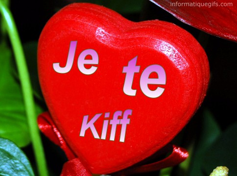 Je te kiff