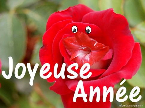 Joyeuse année