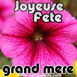 Joyeuse fete grand mere avec une fleur