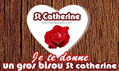 photo arbre coeur sainte catherine