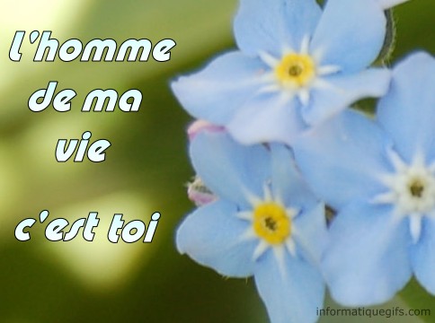 une photo de fleur bleue